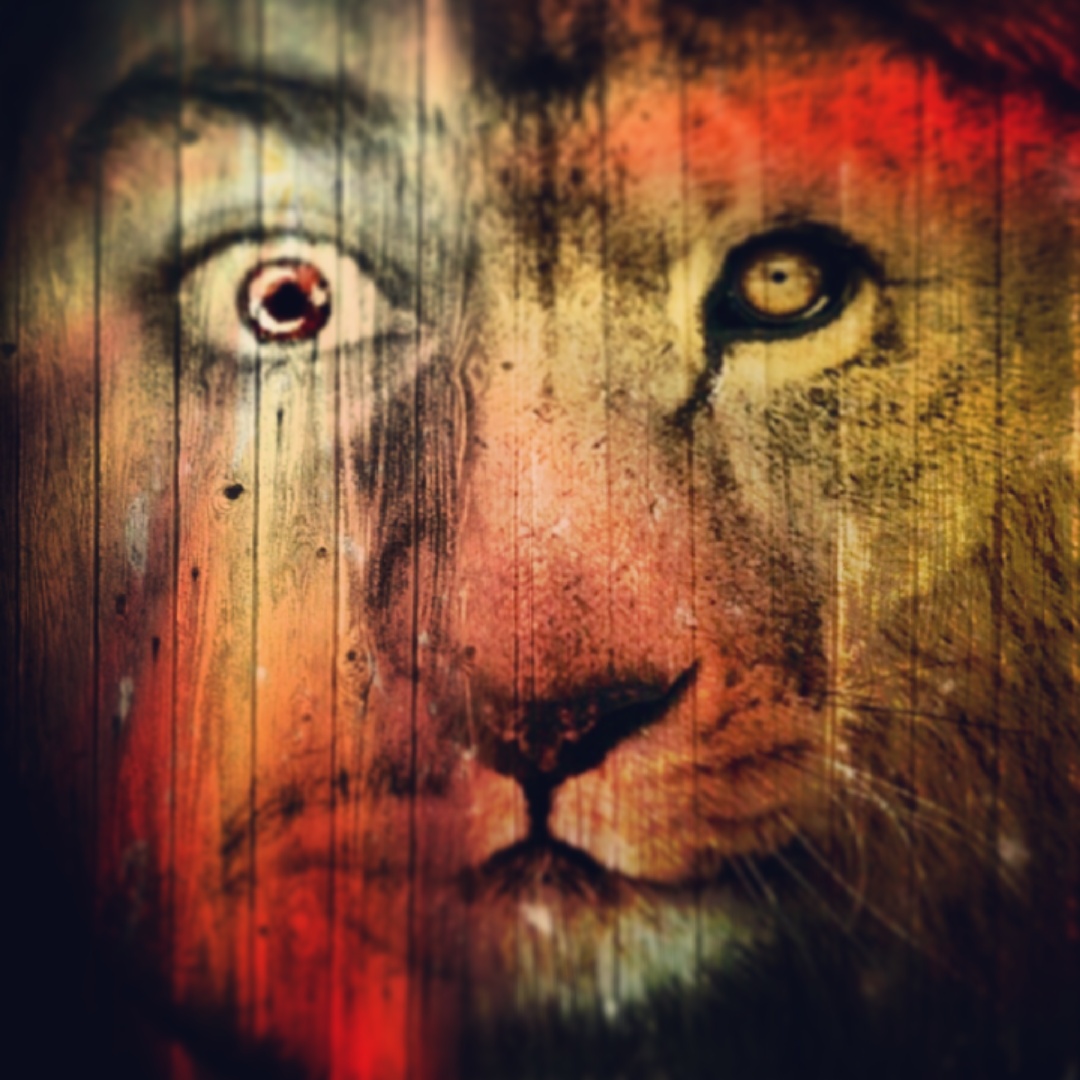 Picsart profile picture for @loyal